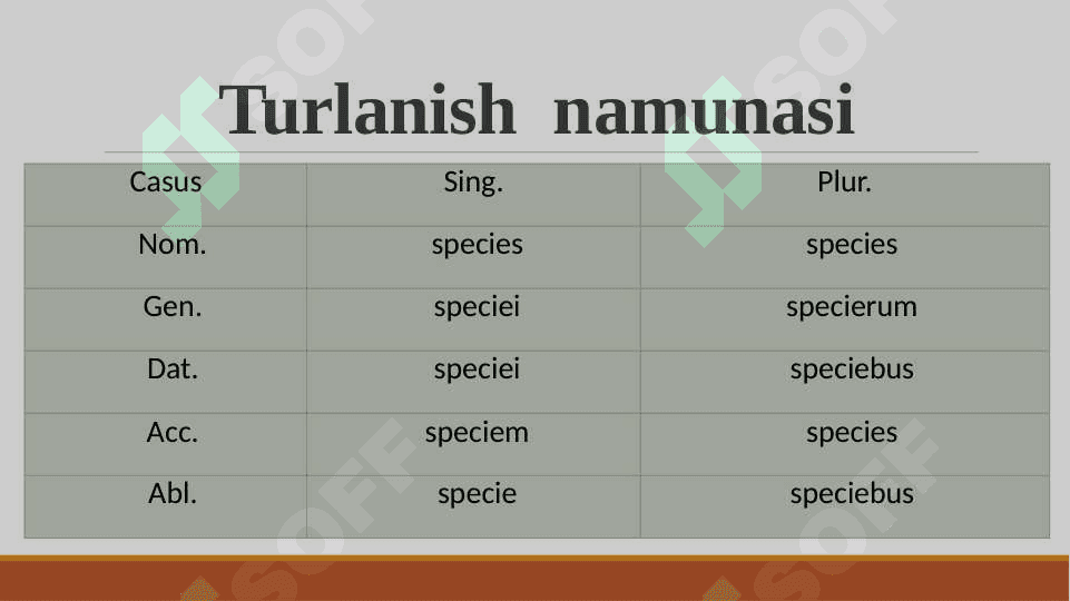 V  turlanishdagi  otlar 4