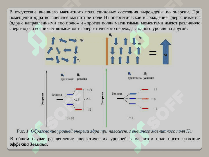 Области применения спектроскопии ядерно магнитного резонанса 6