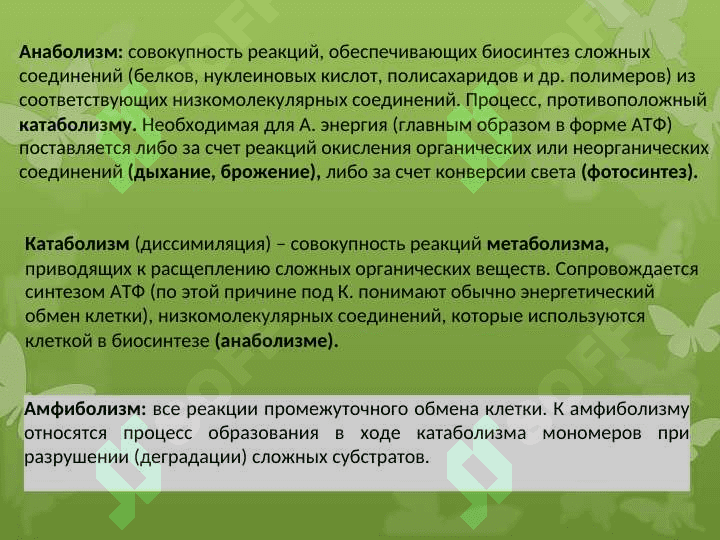 Ферментативные свойства микроорганизмов 5