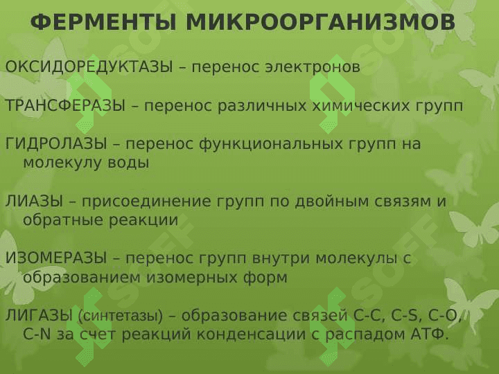 Ферментативные свойства микроорганизмов 6