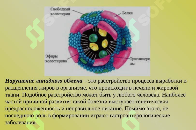 Нарушения липидного обмена.Гиперлипидемия. 2