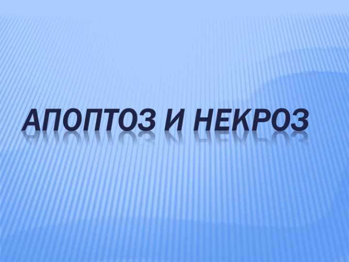 АПОПТОЗ И НЕКРОЗ 1