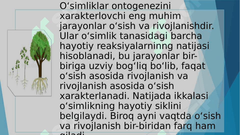 O'simliklar ontogenizining fiziologik tavsifi 2