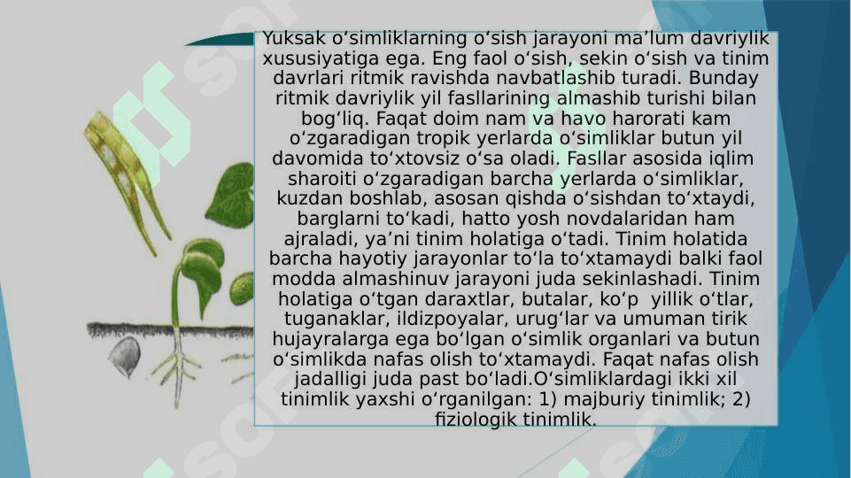 O'simliklar ontogenizining fiziologik tavsifi 4