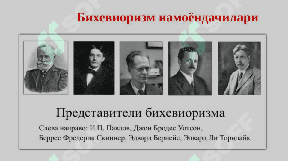 Экспериментал_тажриба_Бихевиоризм 2