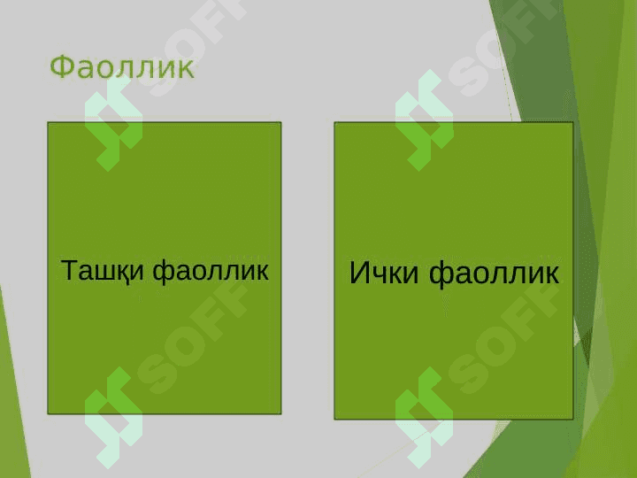 Фаоллик ҳақида умумий тушунча,илмий қараш ва назариялар. 4