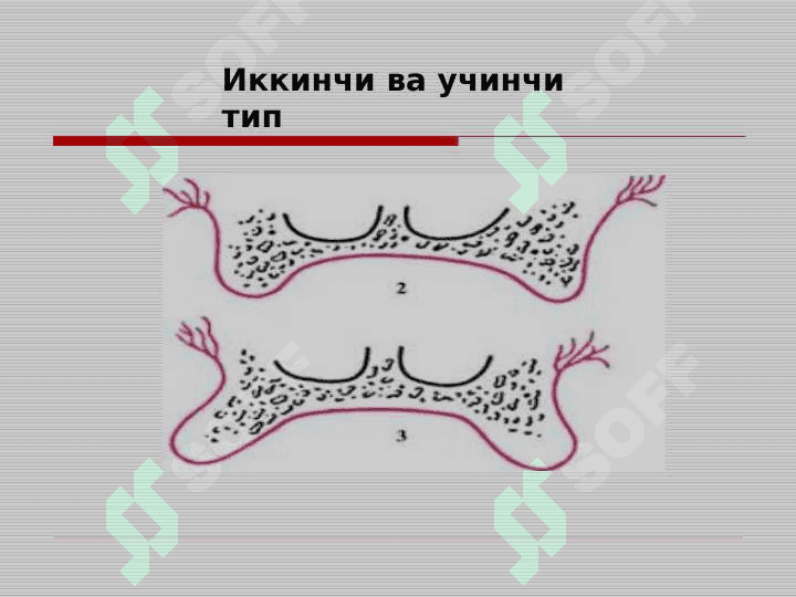 Implantlar yordamida tishlarning to'liq yo'qligini davolashning klinik protokollari. Axen tushunchasi, Abatment turlari, implantlarning analoglari. 8