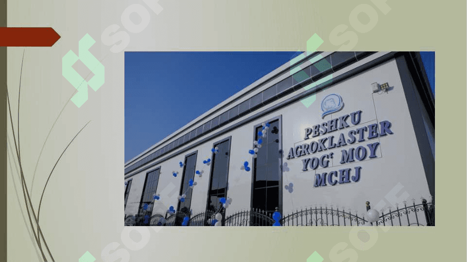 Xo‘jalik jamiyatlarini tashkil etish, qayta tashkil etish va tugatish 3