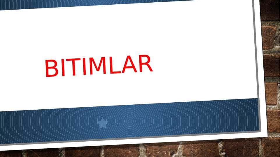 Bitimlar