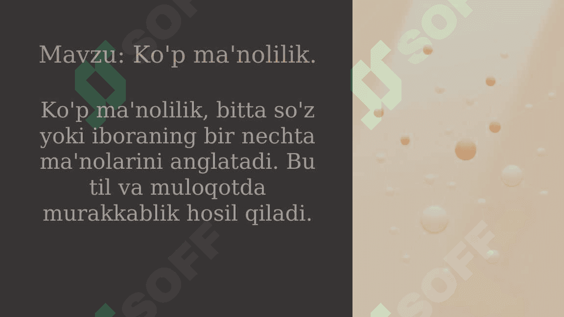 Ko'p ma'nolilik 2