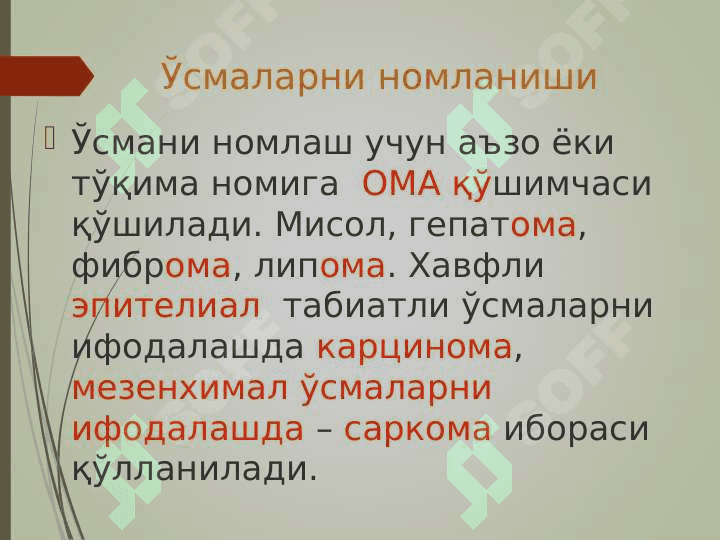 ЎСМАЛАР. O'smalar 2