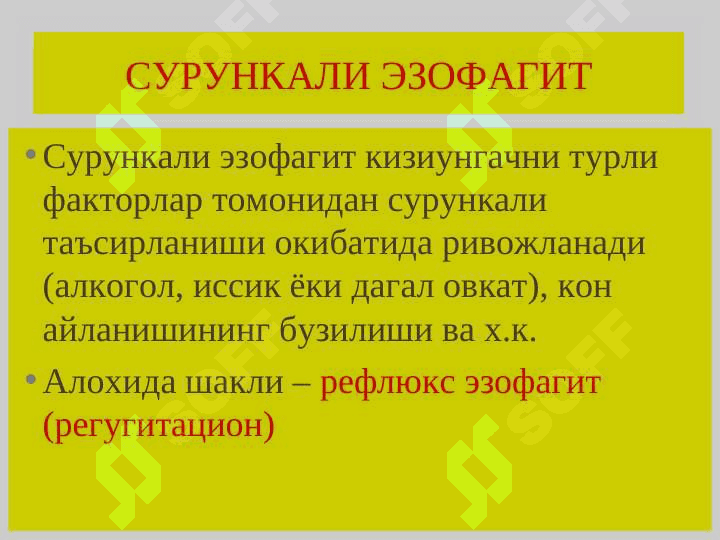 Qizilo’ngach, oshqozon – ichak kasalliklari. Қизилўнгач, ошқозон – ичак касалликлари 6