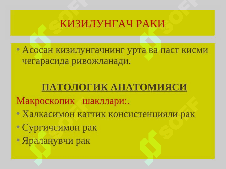 Qizilo’ngach, oshqozon – ichak kasalliklari. Қизилўнгач, ошқозон – ичак касалликлари 7