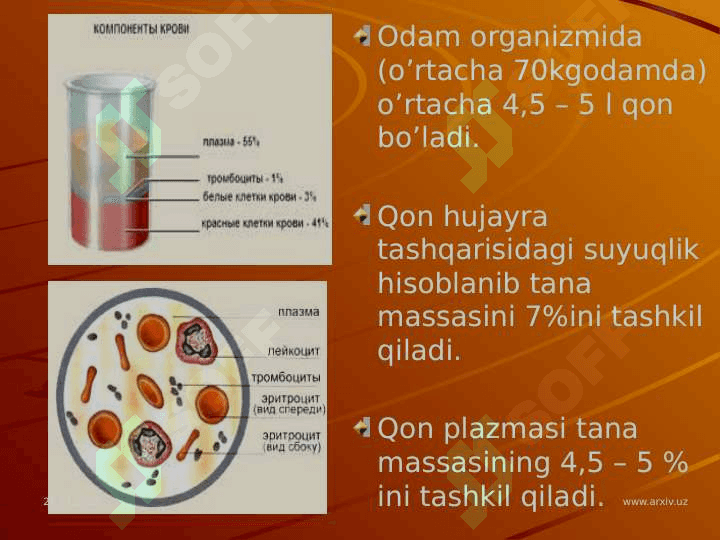 Qon shakilli elementlarnining oʻzaro ta'sirida gumoral omillarning roli. Qonning shakilli elementlari. 8