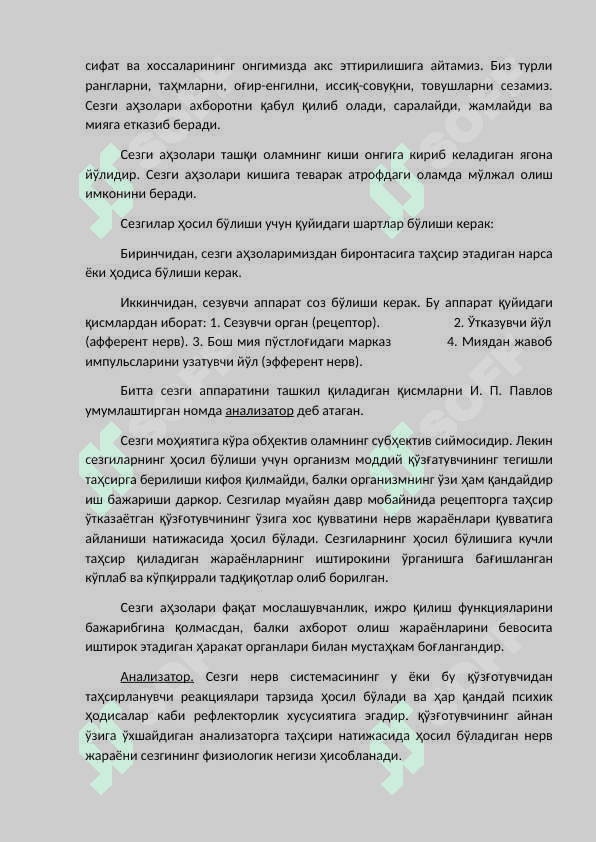 Sezgi 3