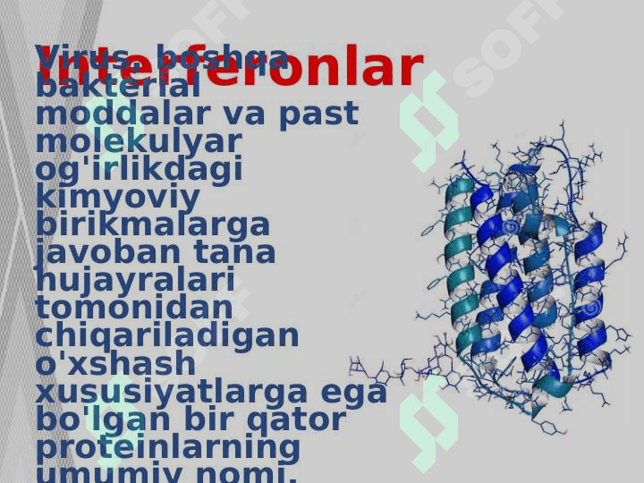 Interferon va sitokinlar sintezlanish va ta’sir mexanizimi 2