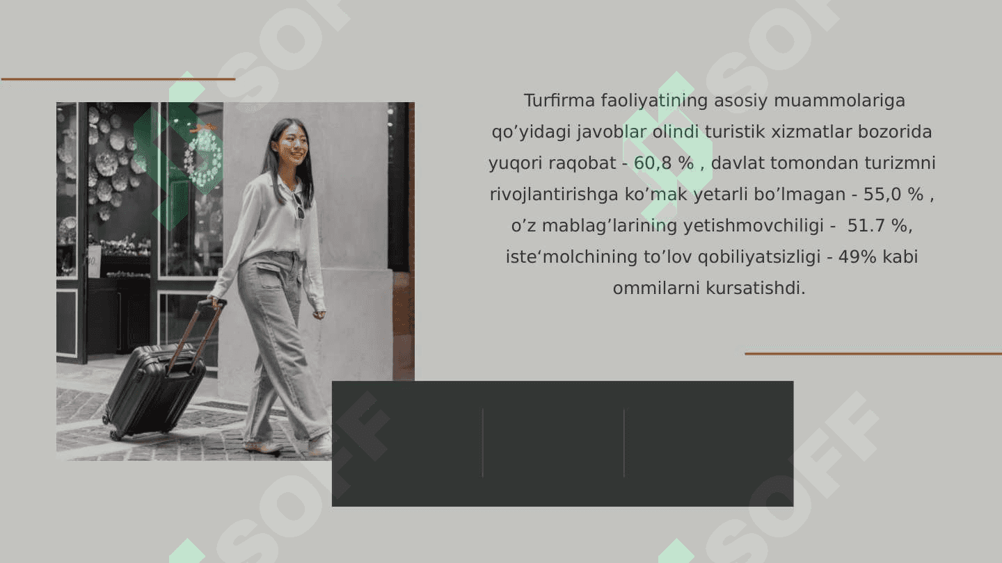 Turfirma faoliyatining asosiy muammolari 2