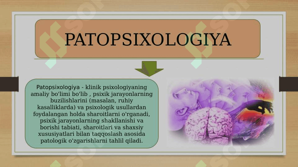 Bluma Zeygarnikning patopsixologiya sohasiga qo’shgan hissasi 20.pptx 2