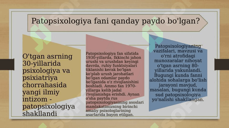 Bluma Zeygarnikning patopsixologiya sohasiga qo’shgan hissasi 20.pptx 3