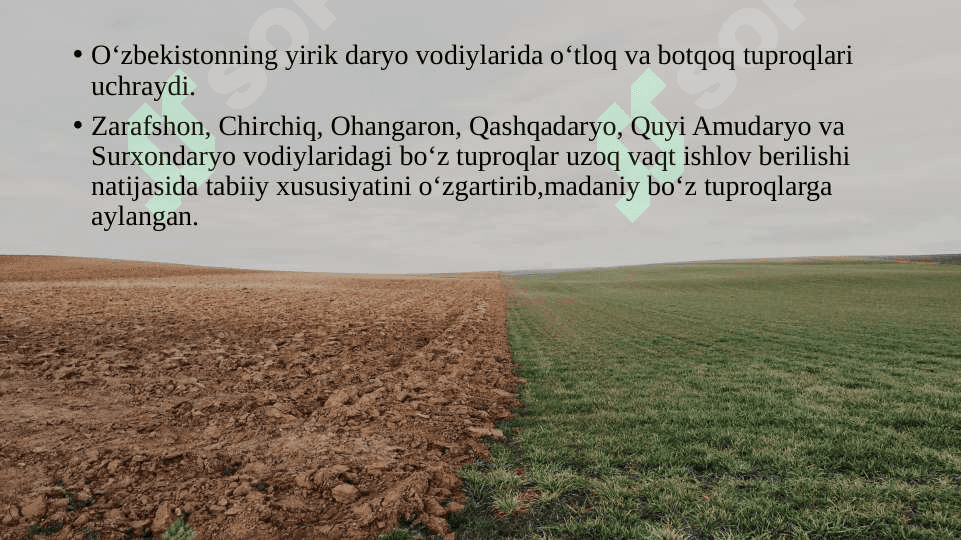 O‘ZBEKISTON TUPROQLARI, O‘SIMLIK VA HAYVONOT DUNYOSI 5