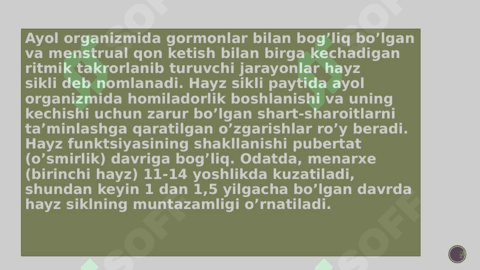 Hayz sikli 2