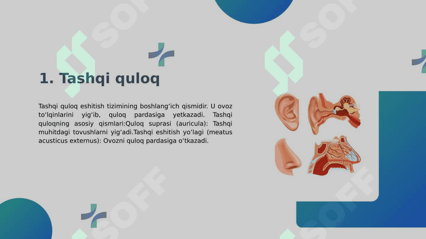 TASHQI QULOQ KASALLIKLARI O'RTA QULOQ FAOLIYATI. 3
