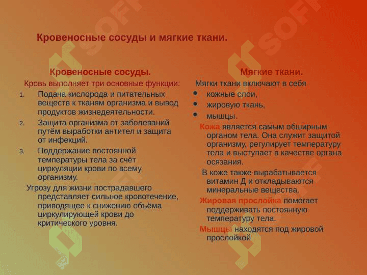 Кровотечение в травматологии 2