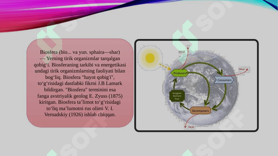 Biosferada modda va energiya almashinishi 2