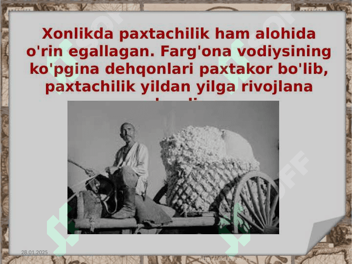 Qo‘qon xonligida yer egalik huquqlari 4