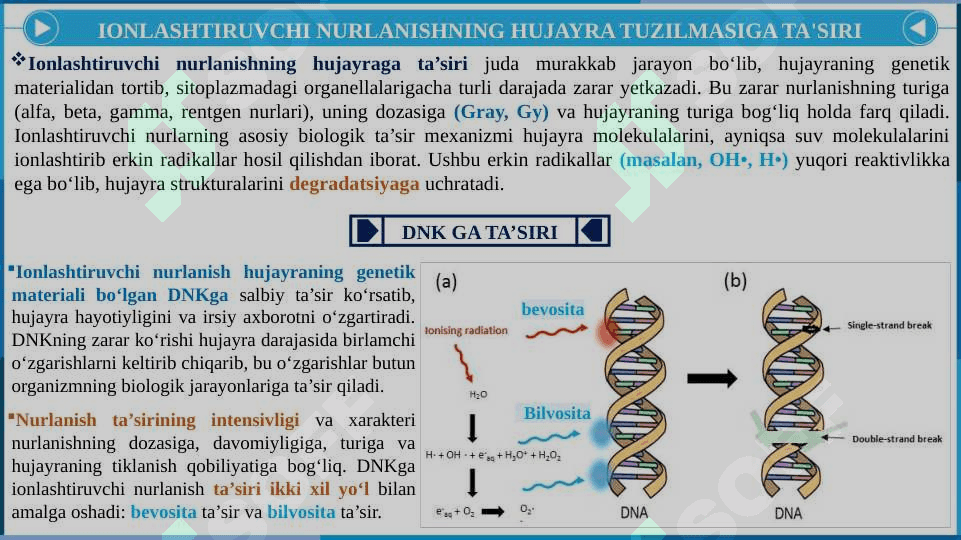 Ionlashtiruvchi nurlarning hujayraga ta'siri 8