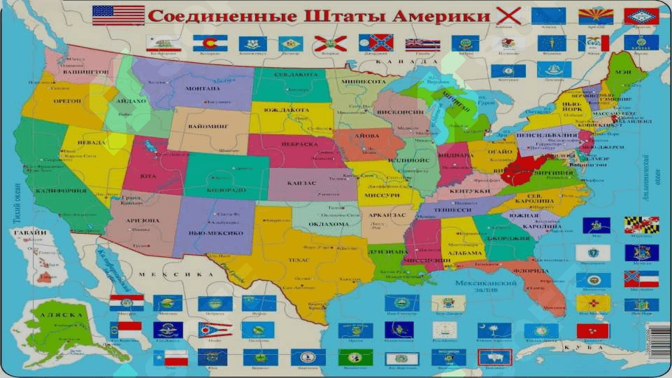 Amerika Qo‘shma Shtatlari 8