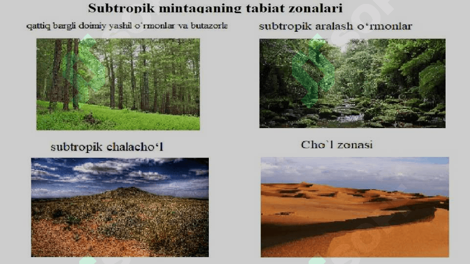 Issiq iqlimmintaqalaridagi tabiat zonalari 3