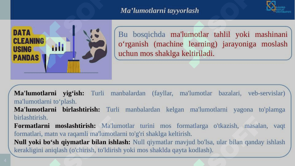 Ma’lumotlarni tayyorlash va tozalash: Pythonda Pandas kutubxonasi asosida ma’lumotlarga ishlov berish. 4