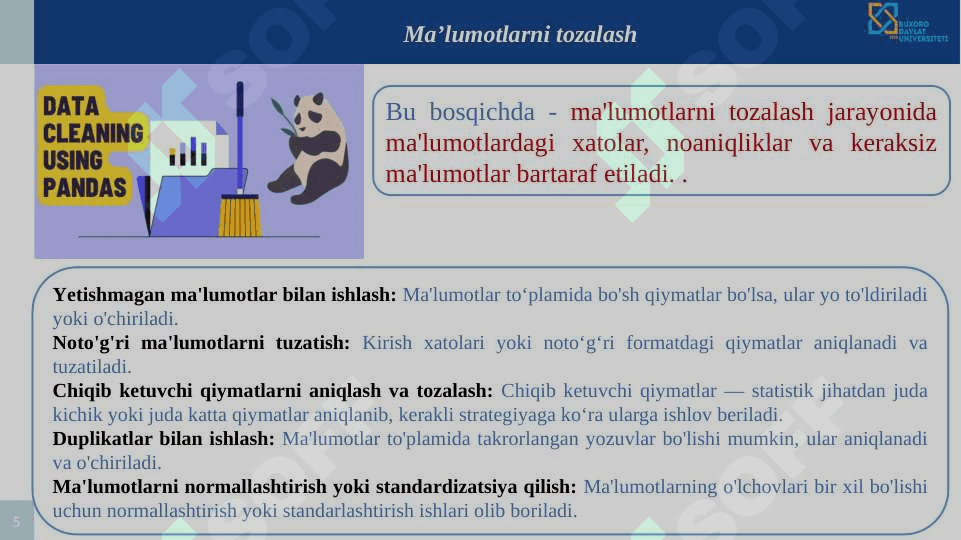 Ma’lumotlarni tayyorlash va tozalash: Pythonda Pandas kutubxonasi asosida ma’lumotlarga ishlov berish. 5