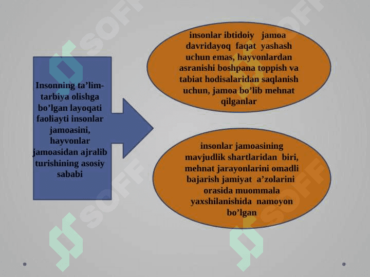 Ong va uning rivojlanishi 5