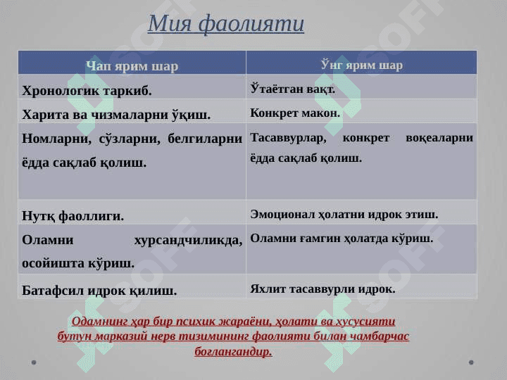 Ong va uning rivojlanishi 8