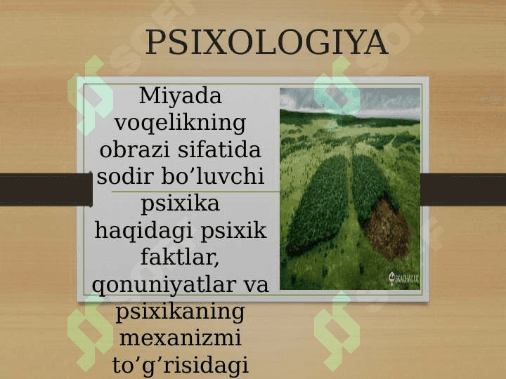 Psixologiya tarixi fanining predmeti,vzaifalari 2