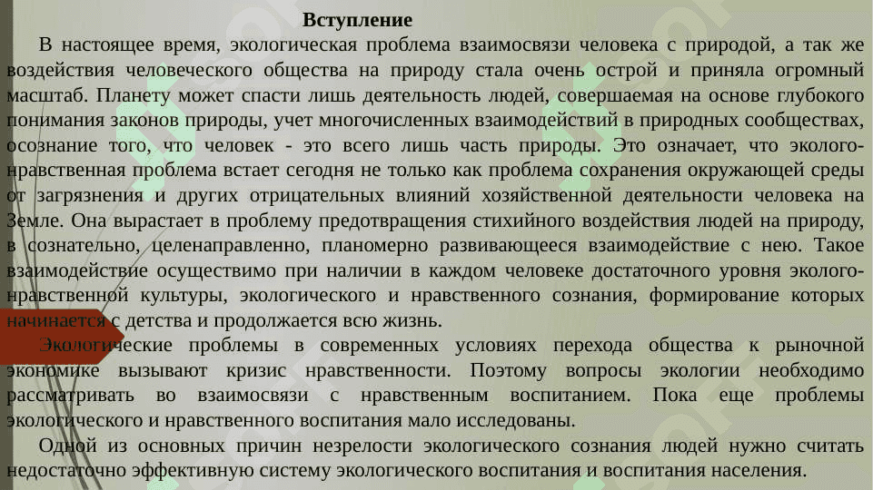 Экология языка и речи 2