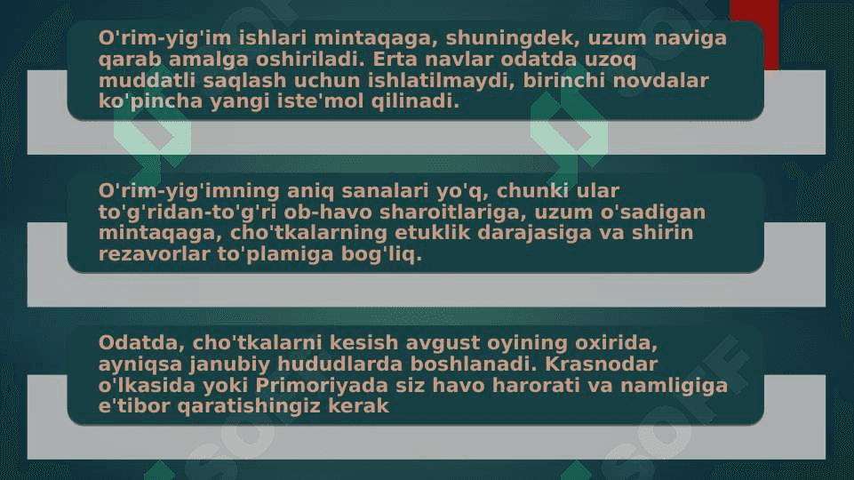 Uzumni yigib olish 4