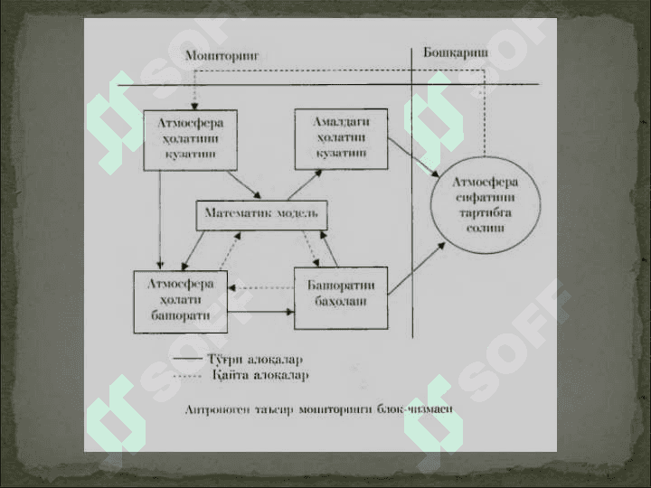 Tabiiy-antropogen ekotizimlardagi ekologik monitoring 4