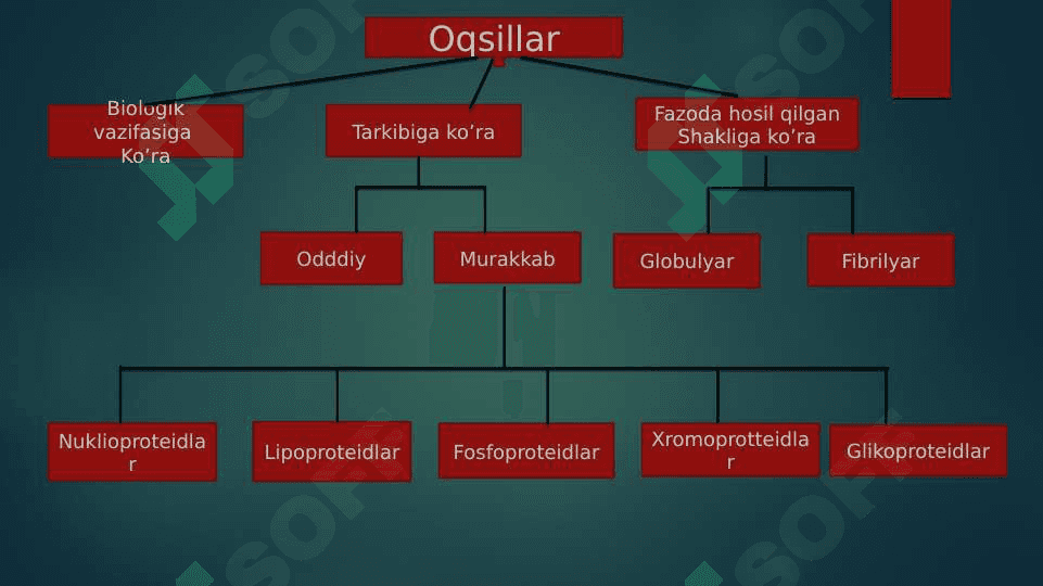 Peptidlar va oqsillar 8