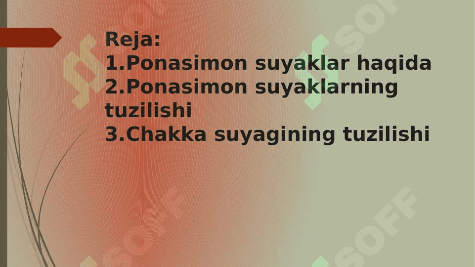 Ponasimon suyak. Chakka suyagi va uning yoshga doir xususiyatlari 2