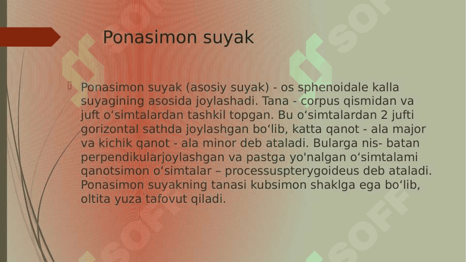 Ponasimon suyak. Chakka suyagi va uning yoshga doir xususiyatlari 4