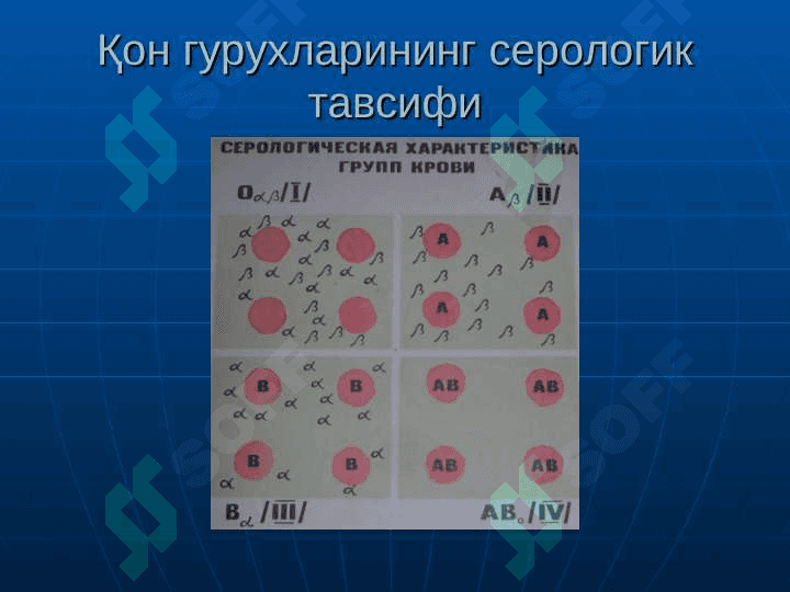 Qon va qon o`rnini bosuvchi suyuqliklar quyish . Donorlik . Transfuziologiya . 8