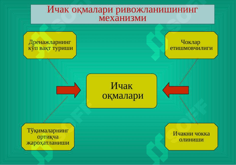 Ichak oqmalari . Ичак оқмалари 8