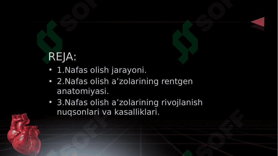 Nafas olish jarayoni. Nafas olish a’zolarining rentgen anatomiyasi va rivojlanish nuqsonlari. 2