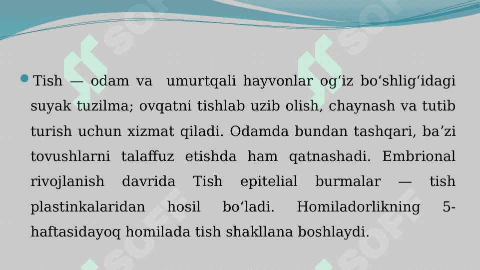Tishlar ontogenezi, rivojlanishi, nuqsonlari, rengen anatomiyasi 3