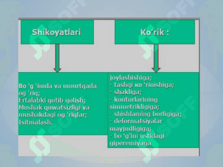 Suyak-mushak va biriktiruvchi to‘qima tizimi 8