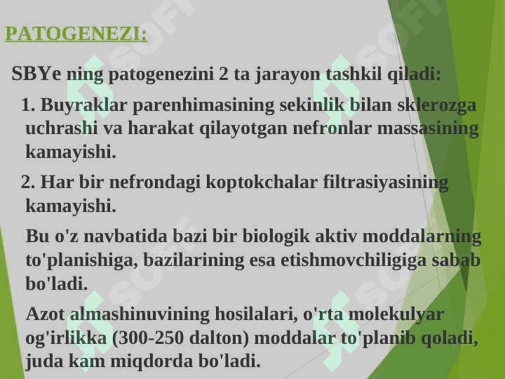 Surunkali buyrak yetishmovchiligi 8