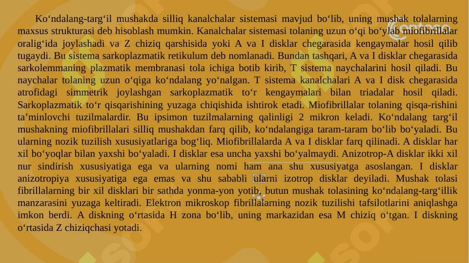 Muskul to’qimasi 8